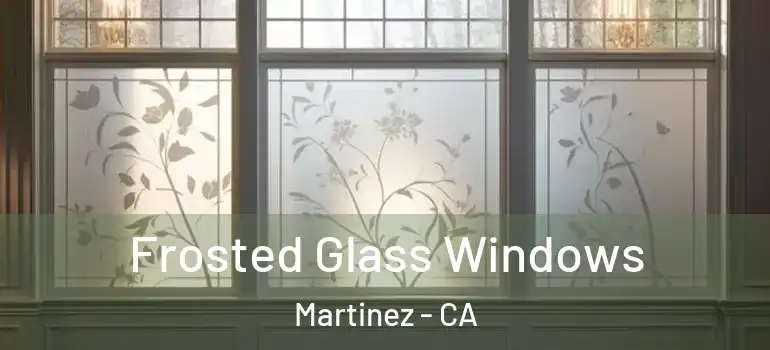  Frosted Glass Windows Martinez - CA