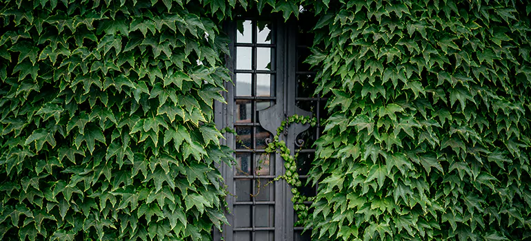 Garden Gate Repair in Martinez, CA