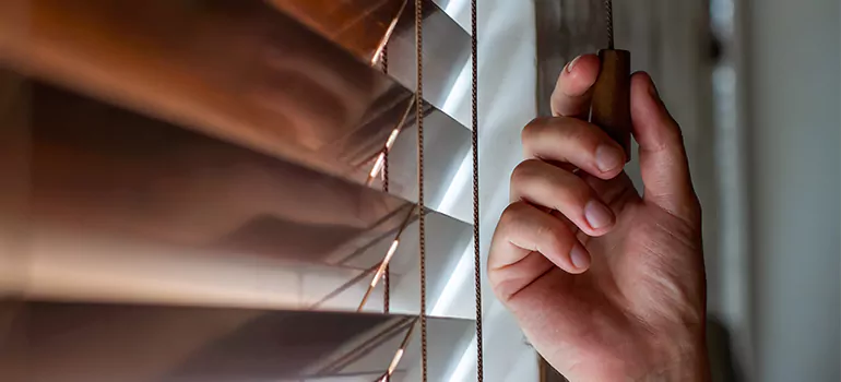 Double Roller Blinds in Martinez, CA
