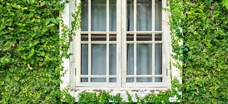 Garden Window Repair Near Me in Martinez, CA