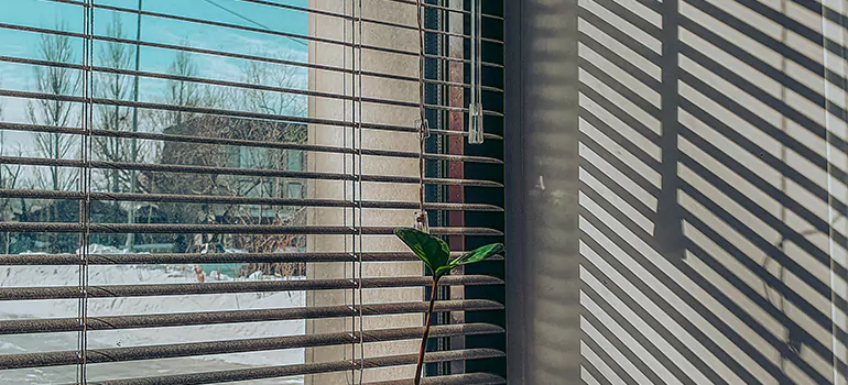 Commercial Window Blinds in Martinez, CA