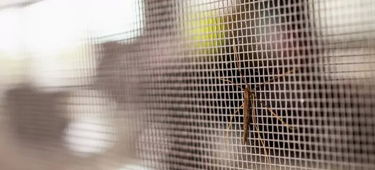 Repair Mosquito Mesh For Windows in Martinez, CA