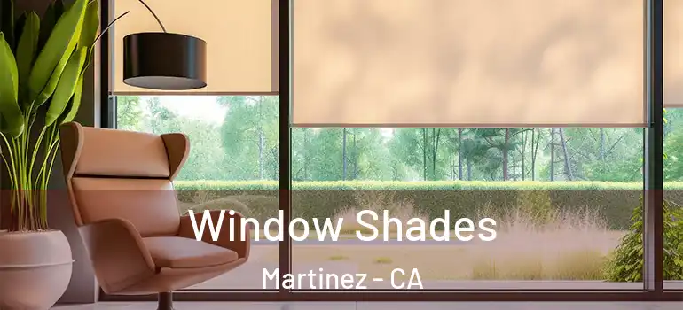  Window Shades Martinez - CA